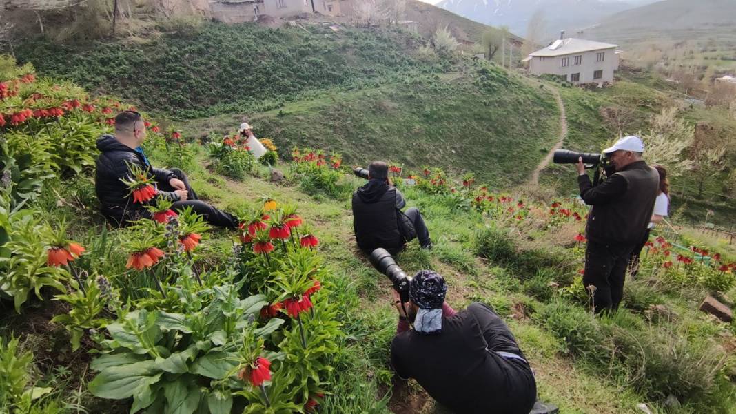 Bu insanlar neye bakıyor? Gece-gündüz nöbet tutuyorlar, ilk kez görenler şaştı kaldı! 34